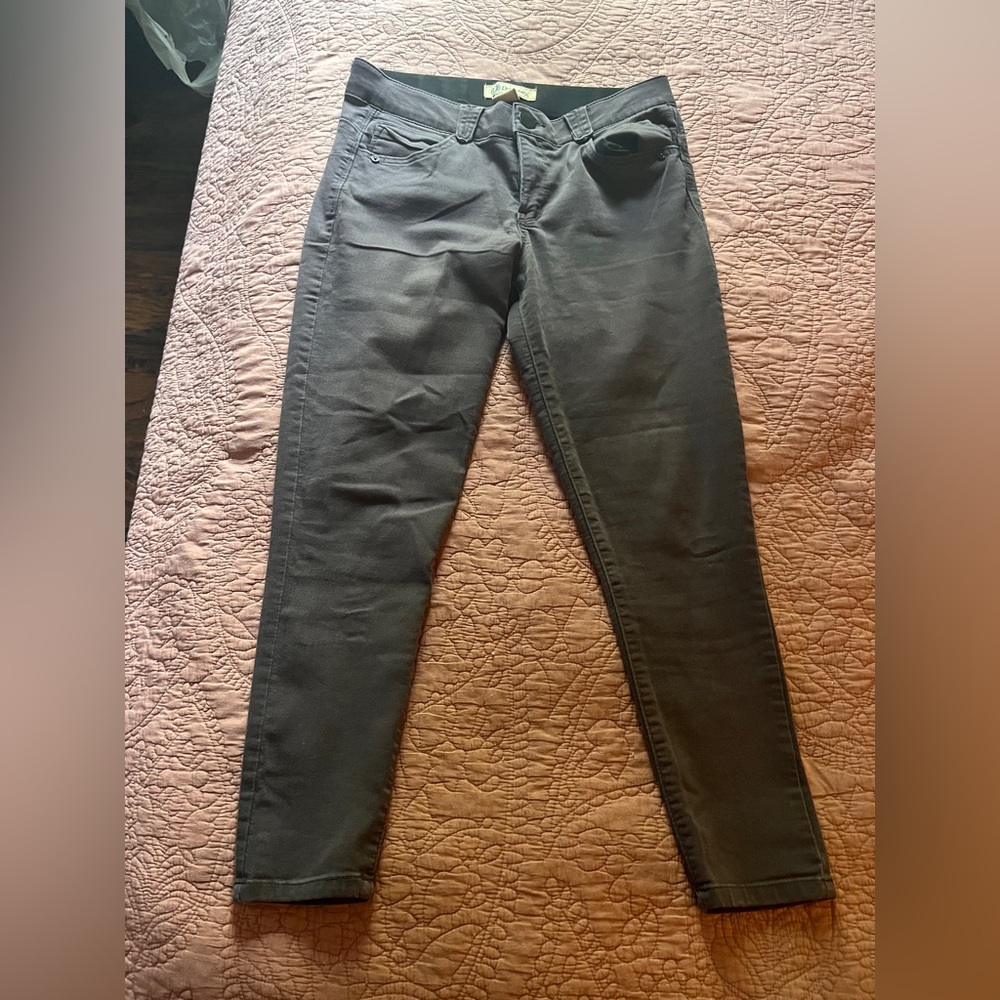Democracy Ab Technology Ankle Pants - Size 8